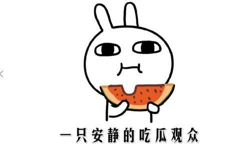 抖音吃瓜网是什么