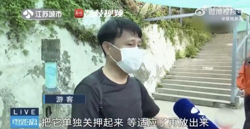 只吃瓜不看戏的网红,揭秘只吃瓜不看戏的网红生活