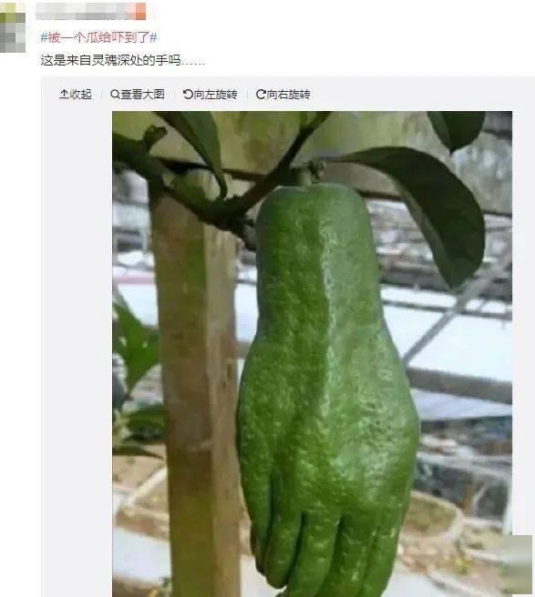 西北民族吃瓜网