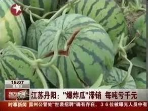 江山网红吃瓜事件真相,揭秘背后真相与争议