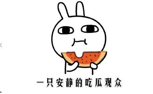 吃瓜网今日吃瓜热门吃瓜在线观看,吃瓜网“吃瓜在线观看”带你一网打尽娱乐圈新鲜事