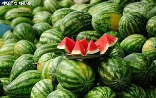 吃瓜还是要网,吃瓜还是上网？揭秘网络时代的娱乐风向标