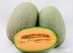 吃哈密瓜网图,甜蜜果实的魅力与营养