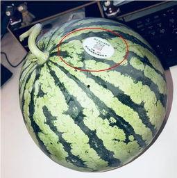 太古里网红吃瓜,揭秘网红圈背后的故事