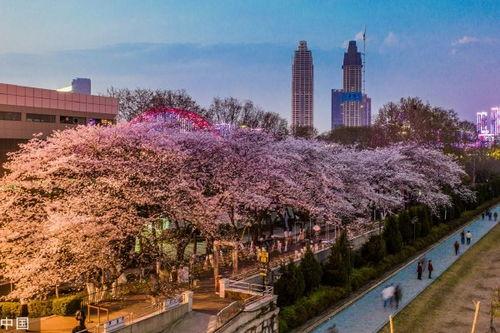 吃瓜爆料抖音网红酒店,吃瓜爆料背后的真实故事